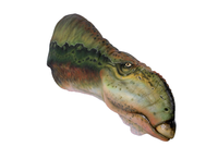 Muttaburrasaurus Dinosaur Head Life Size Statue - LM Treasures 