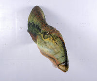 Muttaburrasaurus Dinosaur Head Life Size Statue - LM Treasures 