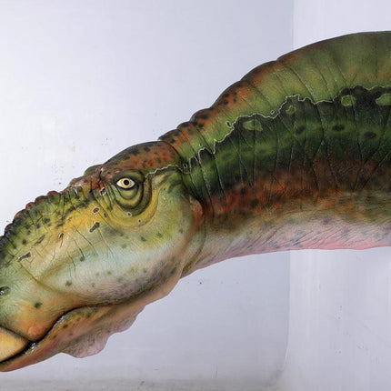 Muttaburrasaurus Dinosaur Head Life Size Statue - LM Treasures 