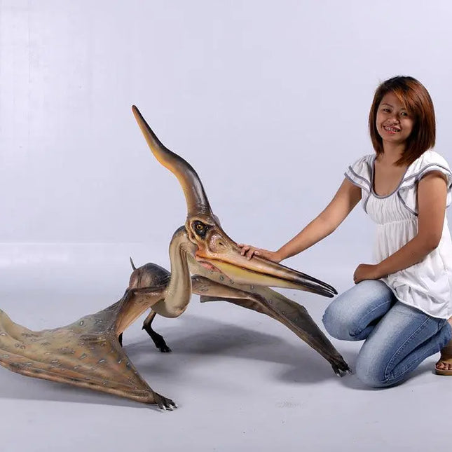 Pteranodon Ingens Dinosaur Life Size Statue LM Treasures - H