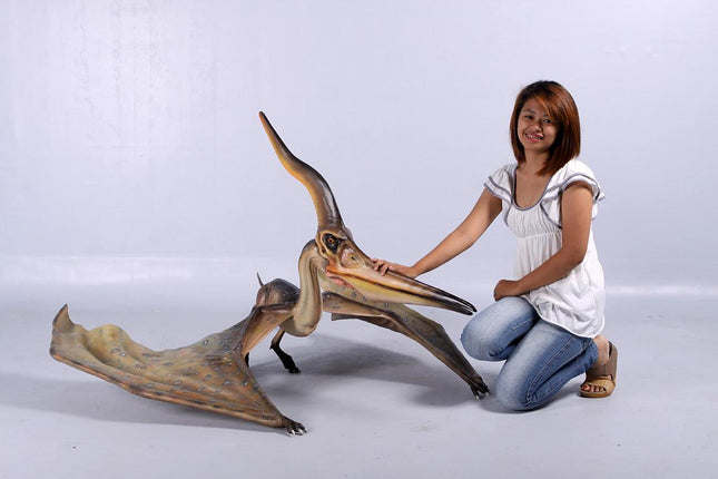 Pteranodon Ingens Dinosaur Life Size Statue - LM Treasures 