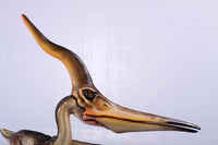 Pteranodon Ingens Dinosaur Life Size Statue - LM Treasures 