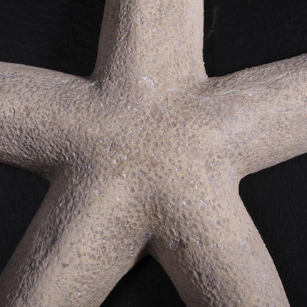 Small Stone Starfish Statue - LM Treasures 