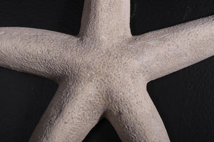 Small Stone Starfish Statue - LM Treasures 