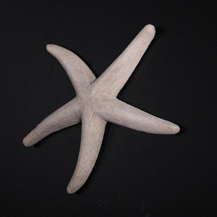 Small Stone Starfish Statue - LM Treasures 