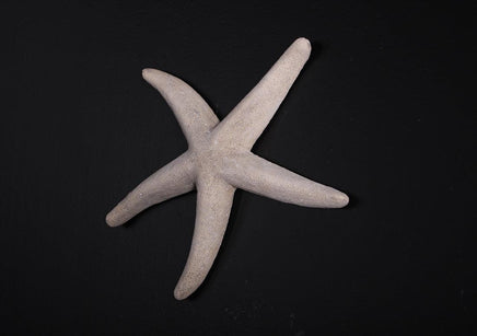 Small Stone Starfish Statue - LM Treasures 