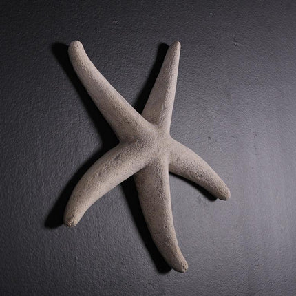 Small Stone Starfish Statue - LM Treasures 