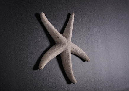 Small Stone Starfish Statue - LM Treasures 