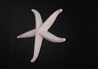 Jumbo Stone Starfish Statue - LM Treasures 