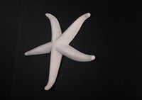 Jumbo Stone Starfish Over Sized Statue - LM Treasures 