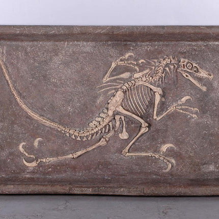 Velociraptor Dinosaur Fossil Dig Life Size Statue - LM Treasures 