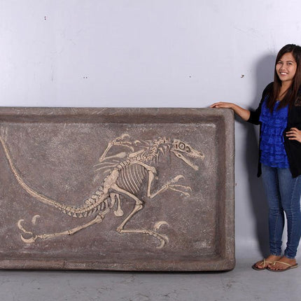 Velociraptor Dinosaur Fossil Dig Life Size Statue - LM Treasures 