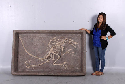 Velociraptor Dinosaur Fossil Dig Life Size Statue - LM Treasures 