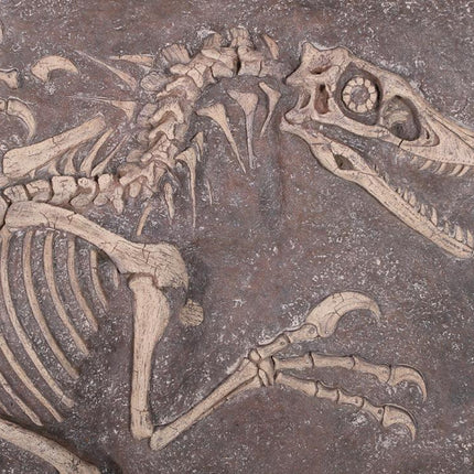 Velociraptor Dinosaur Fossil Dig Life Size Statue - LM Treasures 