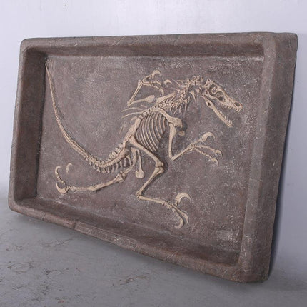Velociraptor Dinosaur Fossil Dig Life Size Statue - LM Treasures 