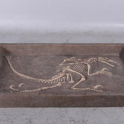 Velociraptor Dinosaur Fossil Dig Life Size Statue - LM Treasures 
