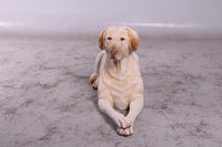 Tan Laying Labrador Life Size Statue - LM Treasures 