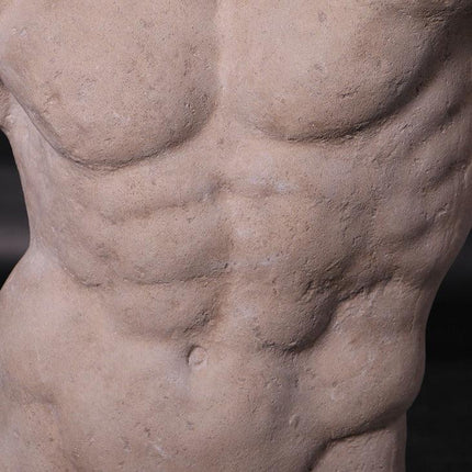 Andrea Male Stone Torso Life Size Statue - LM Treasures 