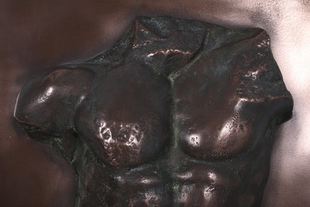 Bronze Adonis Torso Wall Decor Statue - LM Treasures 