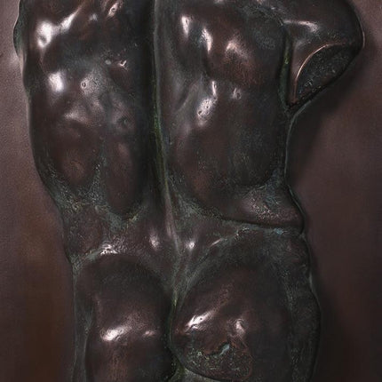 Bronze Adonis Torso Wall Decor Statue - LM Treasures 