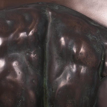 Bronze Adonis Torso Wall Decor Statue - LM Treasures 