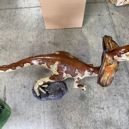 Baby Dilophosaurus Dinosaur Life Size Statue - LM Treasures 