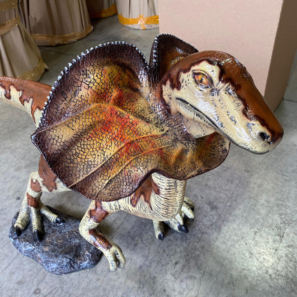 Baby Dilophosaurus Dinosaur Life Size Statue - LM Treasures 