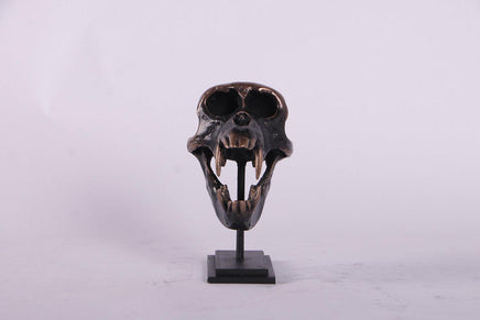 Monkey Macaque Skull Life Size Statue - LM Treasures 