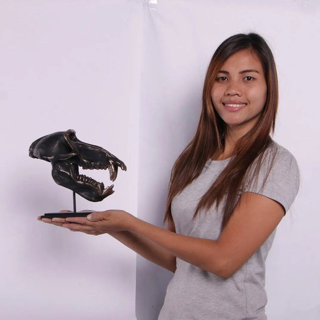 Monkey Baboon Skull Life Size Statue LM Treasures - H