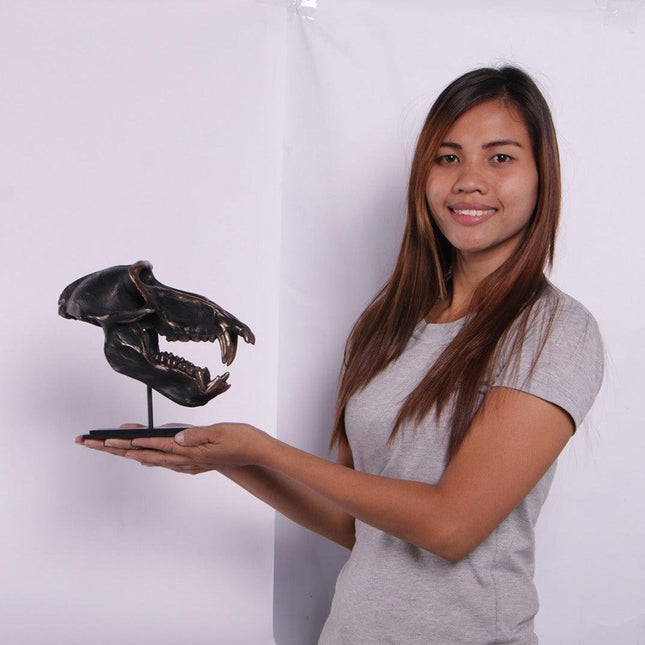 Monkey Baboon Skull Life Size Statue - LM Treasures 