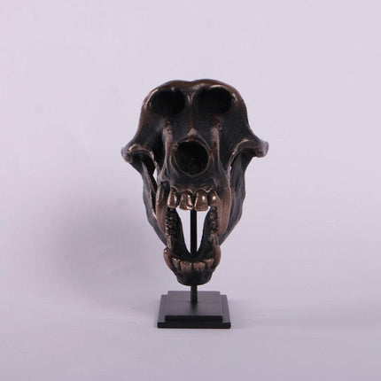 Monkey Baboon Skull Life Size Statue - LM Treasures 