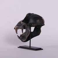 Monkey Baboon Skull Life Size Statue - LM Treasures 