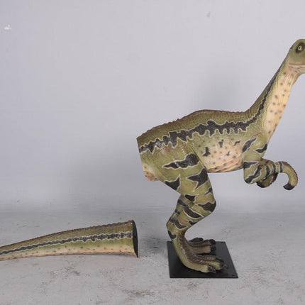 Dilong Paradoxus Dinosaur Life Size Statue - LM Treasures 