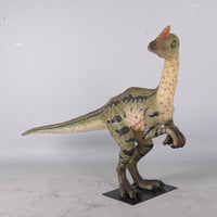 Dilong Paradoxus Dinosaur Life Size Statue - LM Treasures 