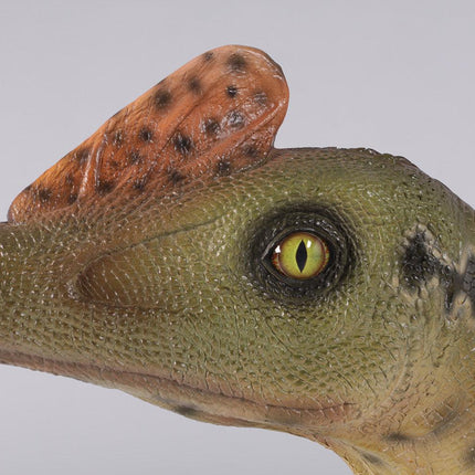 Dilong Paradoxus Dinosaur Life Size Statue - LM Treasures 