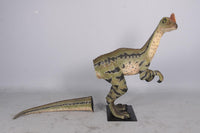 Dilong Paradoxus Dinosaur Life Size Statue - LM Treasures 