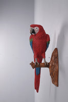 Red Macaw Parrot Wall Decor Life Size Statue - LM Treasures 