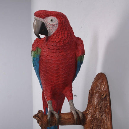 Red Macaw Parrot Wall Decor Life Size Statue - LM Treasures 