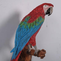 Red Macaw Parrot Wall Decor Life Size Statue - LM Treasures 