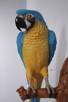 Blue Parrot Wall Decor Life Size Statue - LM Treasures 