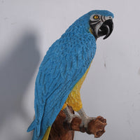 Blue Parrot Wall Decor Life Size Statue - LM Treasures 