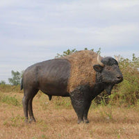 Buffalo Bison Life Size Statue - LM Treasures 