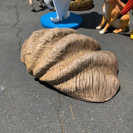 Sea Shell Life Size Statue - LM Treasures 