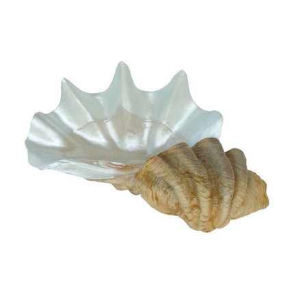 Sea Shell Life Size Statue - LM Treasures 