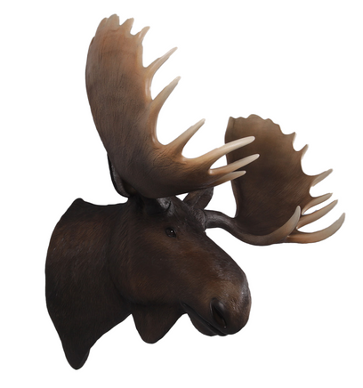 Moose Head Life Size Statue - LM Treasures 