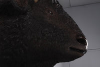 Buffalo American Bison Head Life Size Statue - LM Treasures 