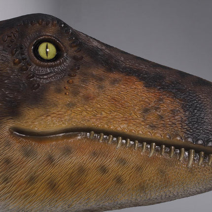 Theropod Dinosaur Head Life Size Statue - LM Treasures 