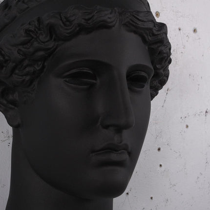 David Head Wall Décor Life Size Statue - LM Treasures 