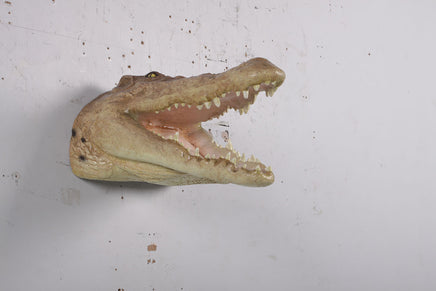 Crocodile Head Life Size Statue - LM Treasures 