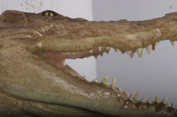 Crocodile Head Life Size Statue - LM Treasures 